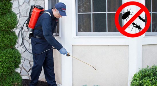 Küre Karınca İlaçlama böcek ilaçlama ve haşere kontrolü — ilaclama-tr.com
